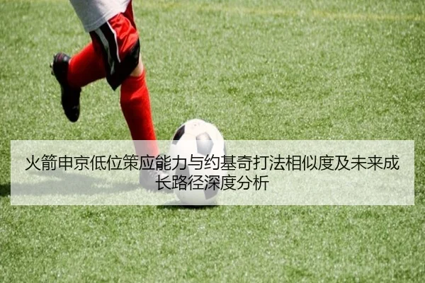火箭申京低位策应能力与约基奇打法相似度及未来成长路径深度分析