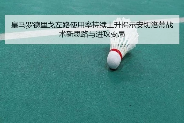 皇马罗德里戈左路使用率持续上升揭示安切洛蒂战术新思路与进攻变局 - kaiyun